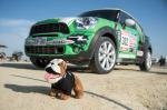 Mini Countryman Dakar rally 2013 года